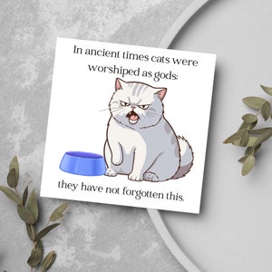 Carte pour toute occasion avec chat gâté, citation de Terry Pratchett, carte d'amoureux des chats, carte de chat, carte de Greebo, carte d'anniversaire, carte d'ami, disque du monde