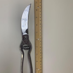 Vintage French Nogent Metal Poultry Shears