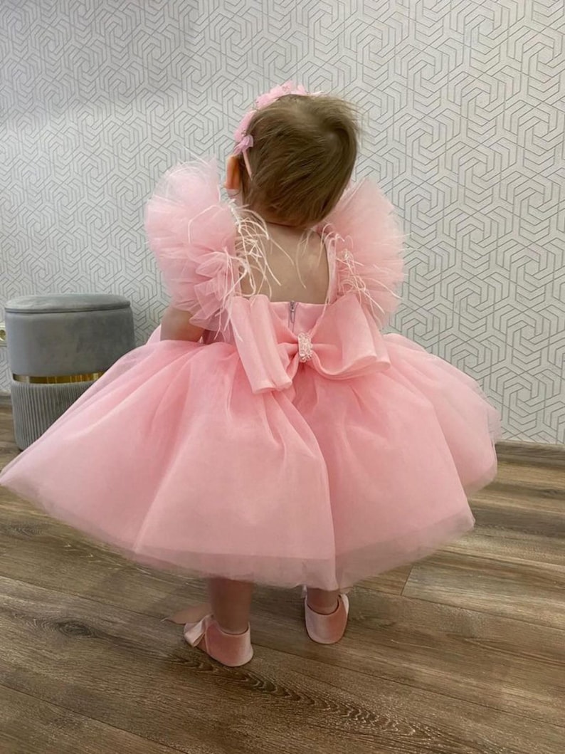Vestidos para primer cumpleaños, vestido de un año, vestido rosa claro para niña pequeña, ocasiones especiales, atuendo para fiesta de cumpleaños infantil, vestido para sesión de fotos imagen 4