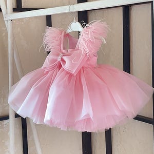 Vestidos para primer cumpleaños, vestido de un año, vestido rosa claro para niña pequeña, ocasiones especiales, atuendo para fiesta de cumpleaños infantil, vestido para sesión de fotos imagen 6
