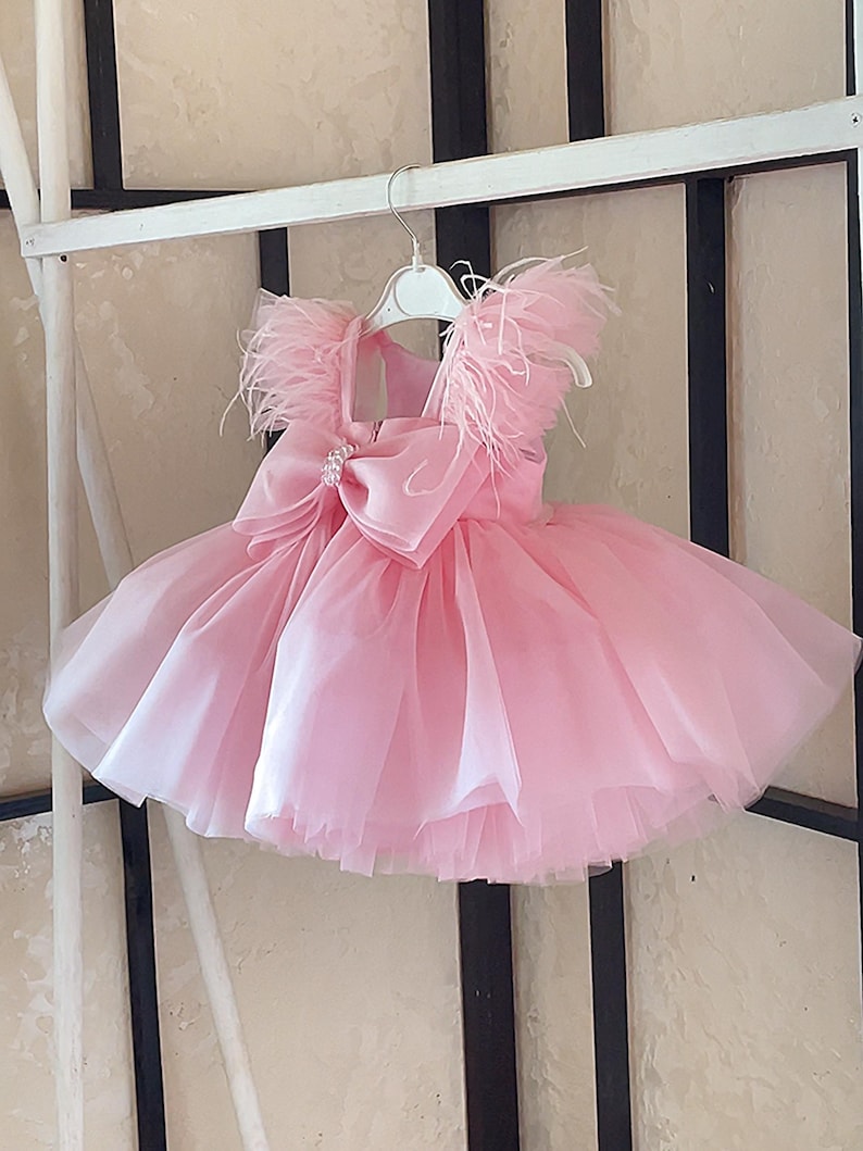 Vestidos para primer cumpleaños, vestido de un año, vestido rosa claro para niña pequeña, ocasiones especiales, atuendo para fiesta de cumpleaños infantil, vestido para sesión de fotos imagen 6