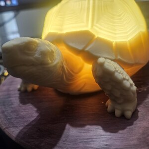 May include: A cream-coloured turtle-shaped lamp with a glowing yellow shell. The lamp is made of a smooth material and sits on a dark wooden surface. The turtle's head and legs are detailed, and the shell is segmented.