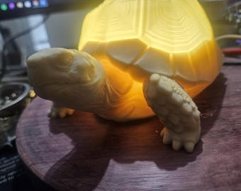Glowing Turtle Lamp | 8” 3D Printed Turtle Night Light | Cute Turtle Desk Decor | Handmade Ambient LED Lamp