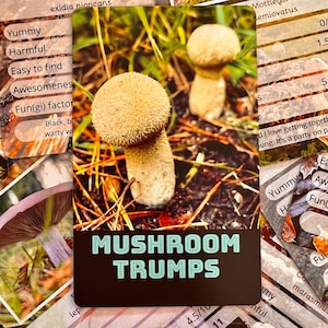 NIEUW Mushroom Trumps-kaartspel - Deck B - Speel een natuurkaartspel - Leer meer over Britse paddenstoelen - Geweldig cadeau voor buitenmensen