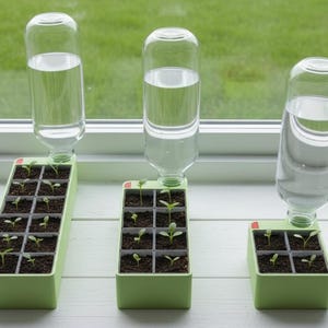May include: Three small, light green planters with young plants, each topped with a clear glass bottle filled with water. The planters sit on a white windowsill, with a green background visible through the window.