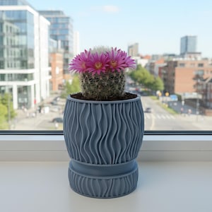 May include: A flowering cactus in a blue-gray, textured, decorative pot. The cactus has pink blooms and sits on a windowsill with a city view in the background. The pot has a wavy design.