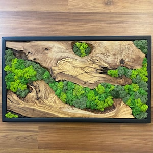 Free Shipping Moss Wall Art, Made to Order Preserved Moss Hanging, Preserved Moss and Olive Wood Wall Decor for Living Room, Olive Wood Art