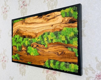 Custom Moss Wall Art: Preserved Moss & Olive Wood Decor