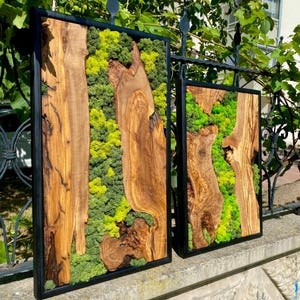 Custom Order Moss Wall Art, Made to Order Preserved Moss Hanging, Preserved Moss and Olive Wood Wall Decor for Living Room, Olive Wood Art