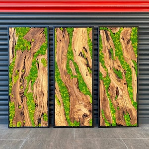 Custom Order Moss Wall Art, Made to Order Preserved Moss Hanging, Preserved Moss and Olive Wood Wall Decor for Living Room, Olive Wood Art