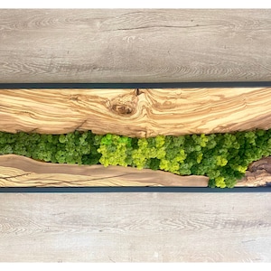 Olive Wood & Preserved Moss Wall Art: Handmade Nature Decor
