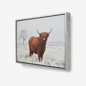 Op de afbeelding: Een ingelijste canvas print met een Schotse Hooglander in een besneeuwd veld. De koe heeft lange, rossige vacht en grote hoorns. Een eenzame boom staat op de achtergrond, omlijst door een zilverkleurige lijst.