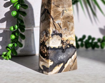 May include: A brown, black, and gold patterned crystal point with a white tip. The crystal is shaped like a pyramid and has a smooth, polished surface.