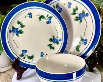 L.L.Bean Blueberry Dinnerware Set 3 Pc Place Setting 11” Plate 8.5” Salad 6” Bowl Farmhouse Blue White Dish Set