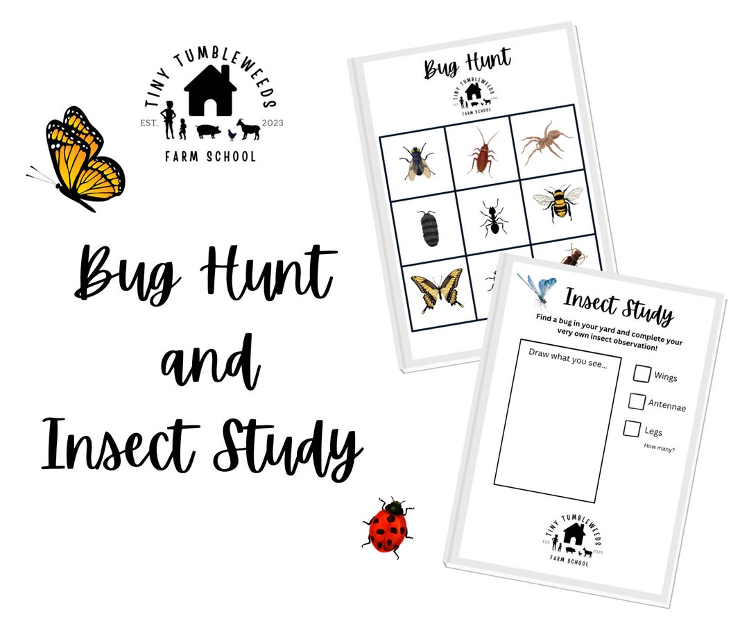 Bug Hunt and Insect Study Science Lesson for Etsy