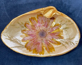 Plat à bijoux bibelot fleurs séchées en coquille de palourde, décor côtier, coquille de palourde peignée sur la plage, cadeau d'hôtesse, marguerite rose poudré, décoration d'intérieur