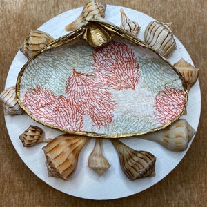 Clam Shell Trinket Jewelry Dish, Coastal Decor, Beachcombed Clam Shell, Hostess Gift, Decoupage Shells, sea coral