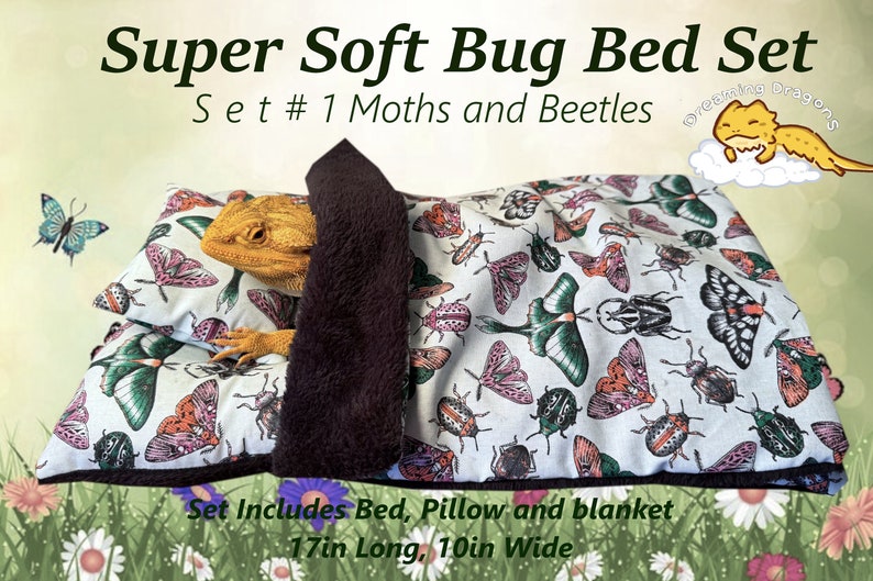Bug Bearded Dragon Bed Set Etsy
