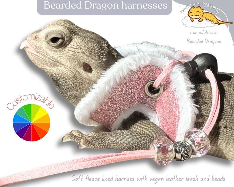 May include: Pink bearded dragon harness with white fleece lining and a vegan leather leash with beads. The harness is customizable with different colors. "Dreaming Dragons" is written in the top right corner of the image.