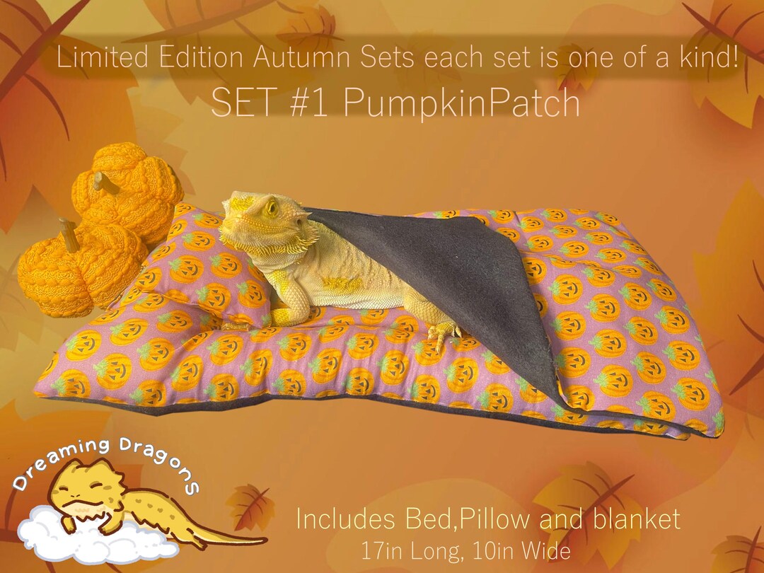 Bearded Dragon Halloween Beds Etsy