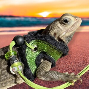 May include: A green and black lizard harness with a green glitter fabric and black fur trim. The harness has a green leash attached to it. The lizard is wearing the harness and is sitting on a sandy beach.