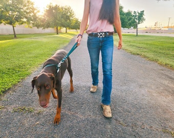 Traffic Leash - keep your dog close, vegan leather, water resistant, durable and easy to clean, customizable, dog handle