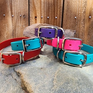 Solid Dog Collar 3/4&quot;- vegan leather, water resistant, durable and easy to clean, customizable