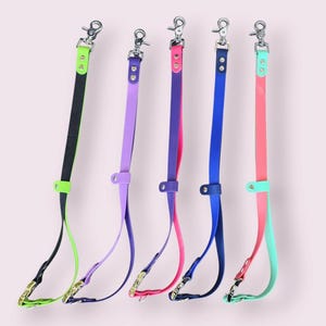 May include: Five colorful dog leashes with silver-tone metal clasps. The leashes are in shades of black and green, purple, pink, blue, and coral. Each leash has a matching accent color at the handle and clasp.
