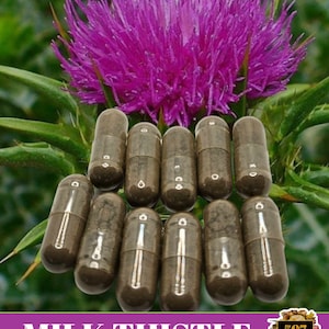 200 Capsules Milk Thistle, PLUS Schisandra Berry, Licorice Root, Chanca Piedra, Fennel Seed