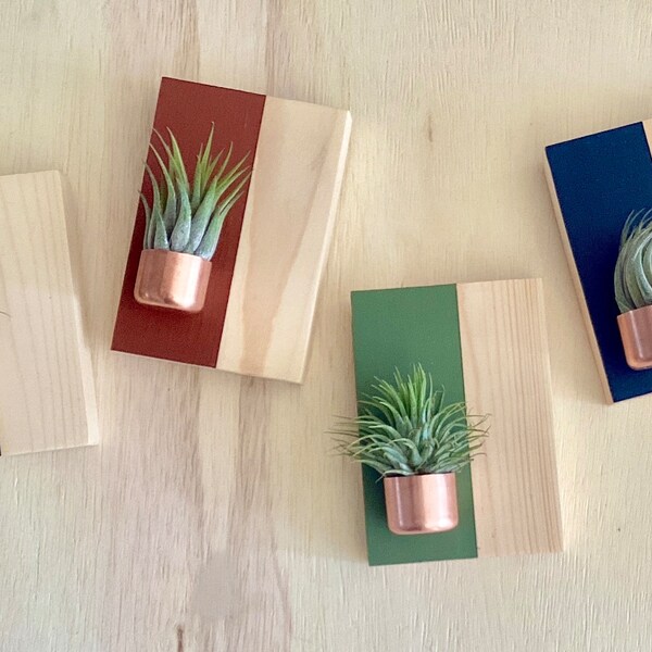 Mounted Wall Planter | Hanging Air Plant | Copper Perch | Indoor Garden | Color Block on Wood | Home Decor | Geometric Wall Art