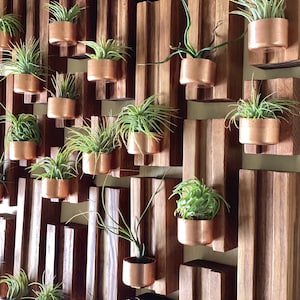 Wall Planter Set for air plants, Reclaimed Wood, Modern Wall Art