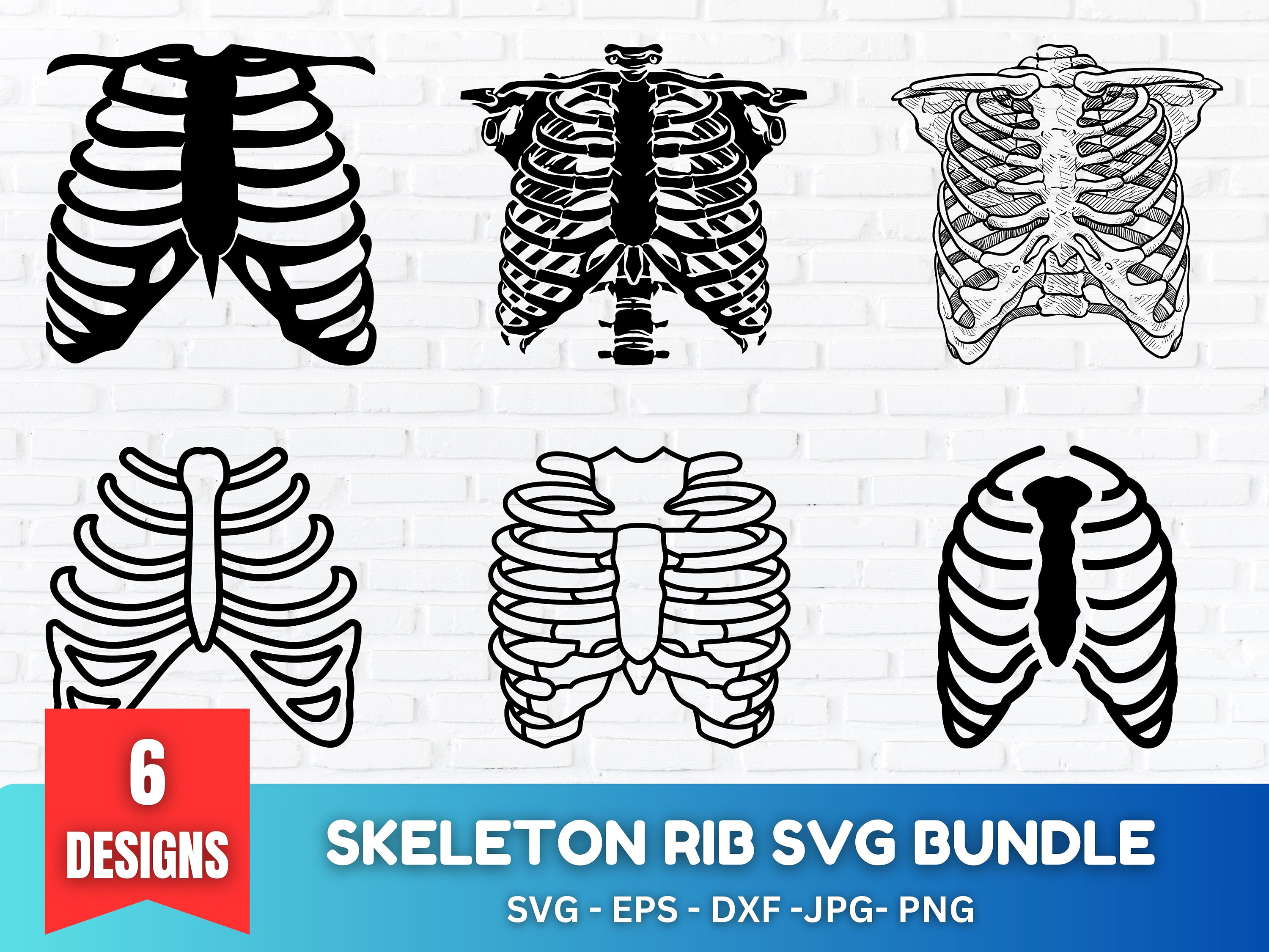 Skeleton Rib Cage SVG Bundle: Halloween Clipart (digital Download) - Etsy
