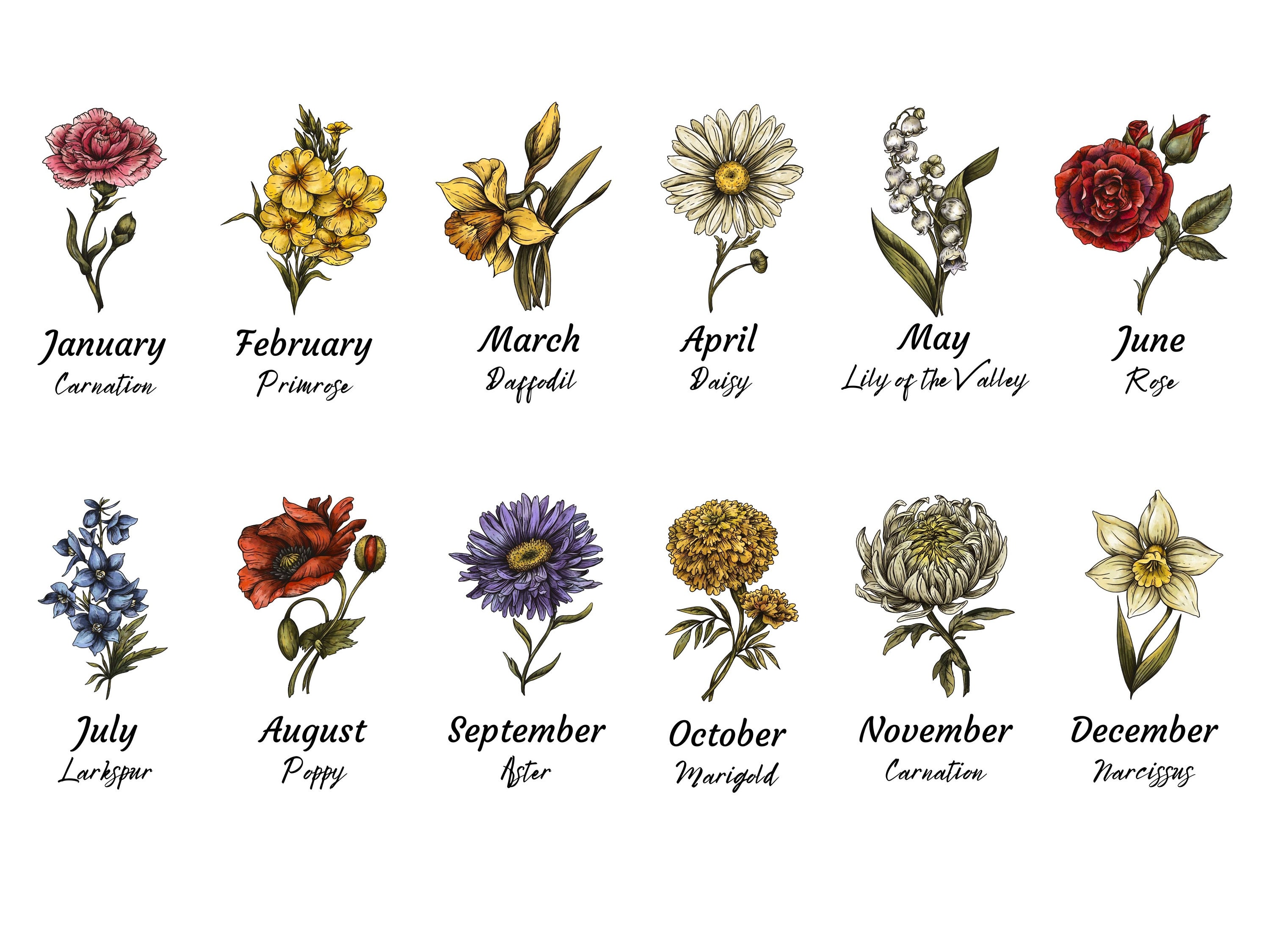 Birth Month Flowers PNG, Birth Flowers Name Png, Flower Bouquet Png ...