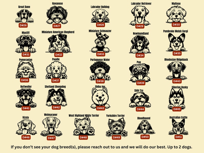 Custom Dog Engagement Shirt, Personalized Future Mr Mrs Gift, Matching