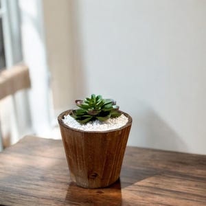 Vintage Home & Garden, Vintage handgefertigter Holzpflanzer, Bauernhausdekor, Gartenprodukt, rustikale Pflanzenbehälter, nachhaltige Holzvase