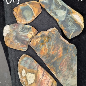 May include: Five irregularly shaped, polished stones with a mix of colors including blue, brown, orange, and white. The stones have a natural, earthy appearance, with visible patterns and textures. The word "Dry" is visible in white text. The word "Front" is visible in white text.