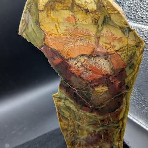 May include: A large, irregularly shaped stone with a polished surface. The stone features a blend of colors, including yellow, orange, red, and green, with intricate patterns and veining. The stone is approximately 10 inches long.