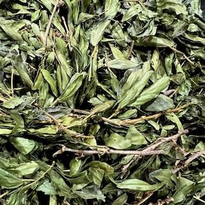 Bobinsana Leaves