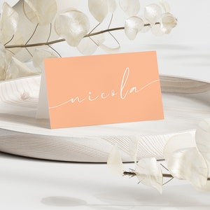 Tarjeta de lugar de boda de Peach Fuzz, boda minimalista de Peach Fuzz, tarjetas de lugar de boda, tarjeta de nombre de boda de melocotón, plantilla de tarjeta de lugar moderno, PC03
