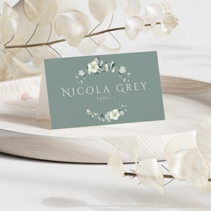 Tarjetas de presentación imprimibles, planas y carpa plegadas, nombres de tarjetas de lugar de boda, tarjetas de lugar planas y de carpa, plantilla de tarjeta de lugar de boda, eucalipto, EU02