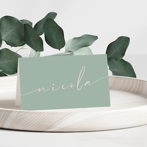 Tarjeta de lugar de boda verde salvia, tarjetas de lugar de boda salvia, tarjetas de lugar verdes, tarjeta de nombre de boda, plantilla de tarjeta de lugar, salvia y rosa rubor, PL04