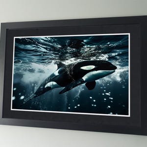 Orca - Cartel de fotografía de vida silvestre - Arte de pared - Decoración del hogar