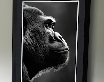 Gorilla Portrait - B&W Wildlife Photography Poster - Wall art - art lovers