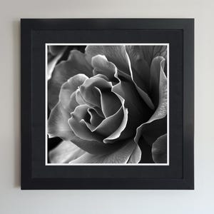 Póster con fotografía en blanco y negro de rosas: arte de pared con flores de rosas, arte de pared con flores vintage, decoración rústica floral para el hogar, diseño de microrosas