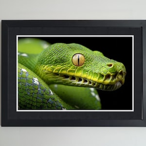 Può includere: Stampa incorniciata con un primo piano di un vivace serpente verde con un occhio giallo e marrone. Le squame e la testa strutturate del serpente sono a fuoco su uno sfondo nero. La stampa è racchiusa in una cornice nera.