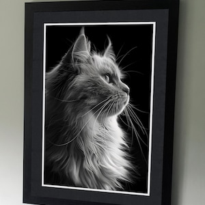 Ragdoll cat Portrait - B&W Pet Photography Poster - Wall art - art lovers - Cat lovers - Pet presents - Cat Print - Cats and Dogs