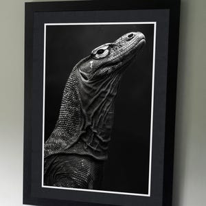 Peut inclure: Tirage encadré en noir et blanc d'un dragon de Komodo. L'animal est représenté de profil, sa tête et son cou se détachant sur un fond sombre. Le cadre est noir, et l'impression est encadrée d'un passe-partout blanc.