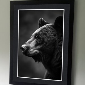 Black Bear Portrait - B&W Wildlife Photography Poster - Wall art - art lovers