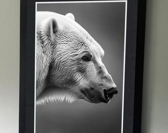 Polar Bear Portrait - B&W Wildlife Photography Poster - Wall art - art lovers