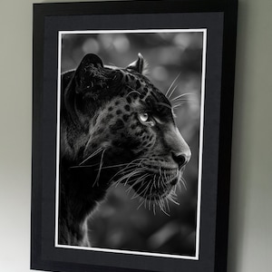 Ritratto di pantera nera - Poster fotografico in bianco e nero per la fotografia naturalistica - Arte murale - Amanti dell'arte